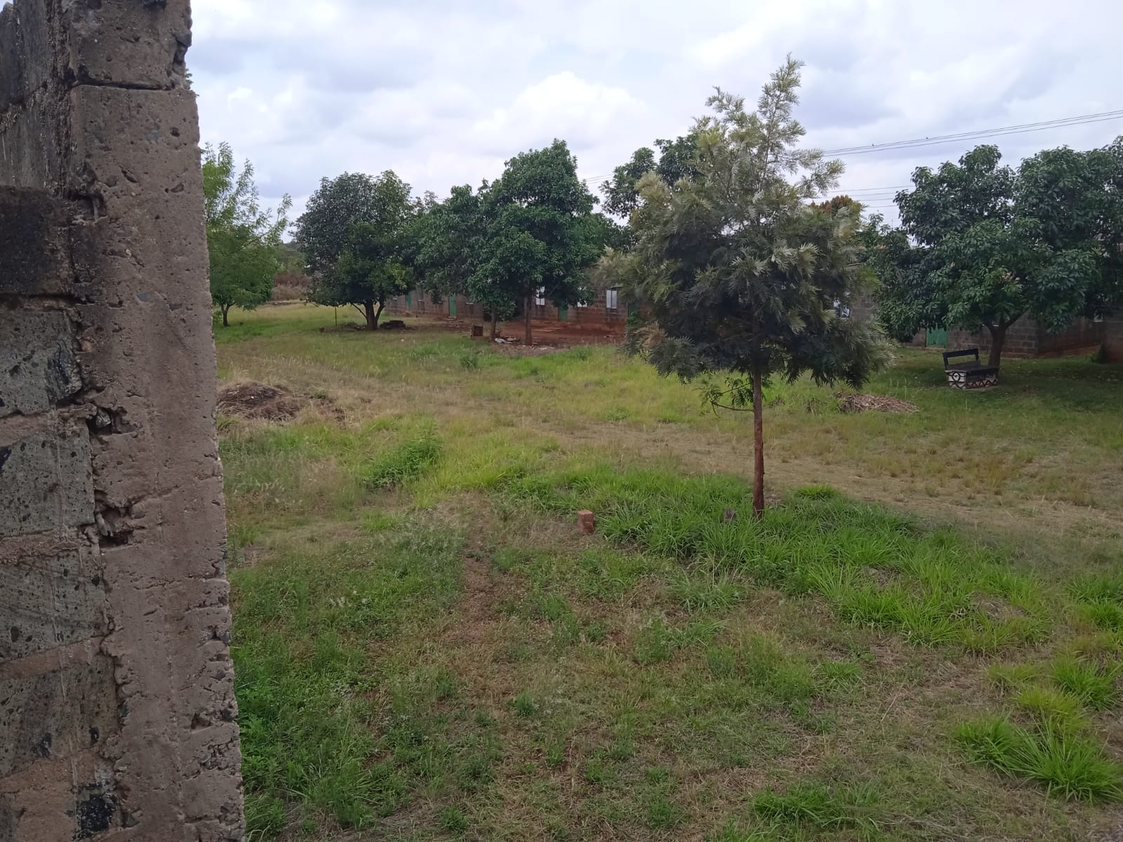 Plot Image 4